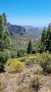 2023-04-GranCan-Roque_Nublo-017.jpg